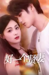 好一个贤妻