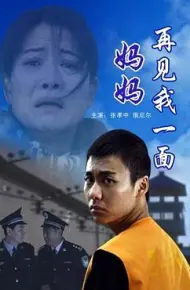 妈妈再见我一面