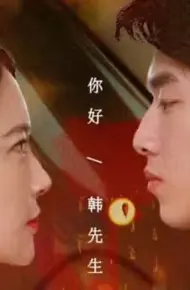 韩先生的贴身女佣