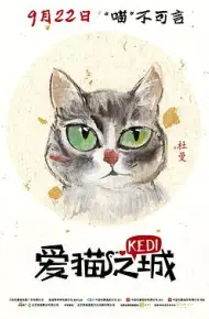 爱猫之城