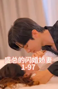 盛总的闪婚娇妻