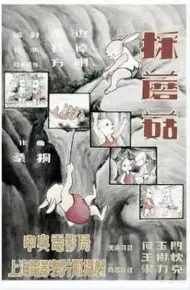 采蘑菇