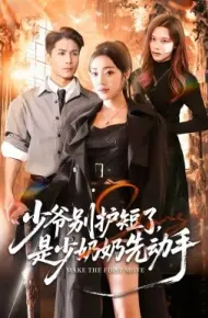 少爷别护短了，是少奶奶先动手