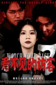 看不见的访客