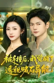 被车撞后,我觉醒了透视赌石异能