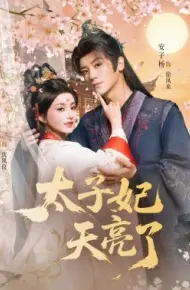 太子妃天亮了