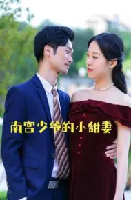 南宫少爷的小甜妻