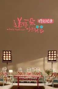 《送你一朵小红花》特别纪录
