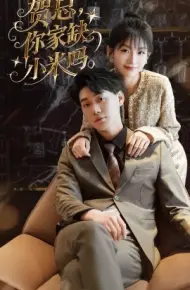 贺总,你家缺小米吗
