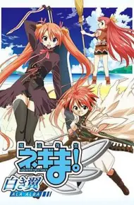 魔法先生涅吉！～白翼ALAALBA～