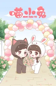 喵小兔