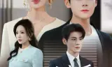 成为首席后，妻子后悔了