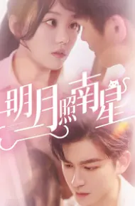 明月照南星