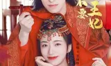 我才不要当王妃