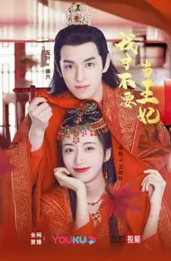 我才不要当王妃