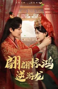 翩翩惊鸿逆游龙