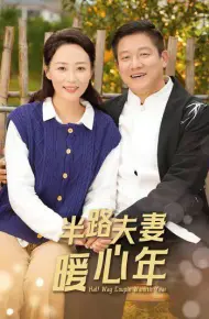 半路夫妻暖心年
