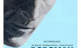 博格曼