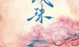 藏珠