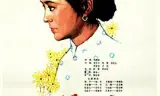 山菊花