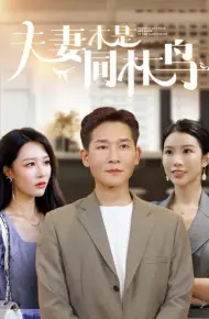 夫妻本是同林鸟
