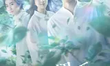 没有砍十次还不倒的树