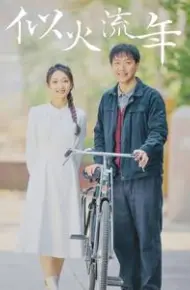 似火流年 短剧版