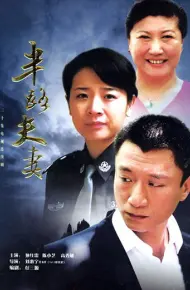 半路夫妻