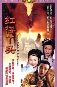 红楼丫头