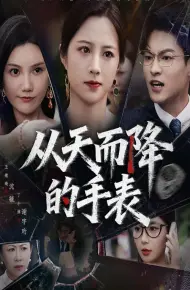 从天而降的手表