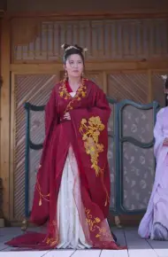 宸王的复仇王妃