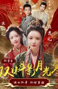 双姝斗影月光寒
