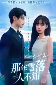 那年雪落人不知