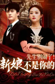 先生别闹了新娘不是你的