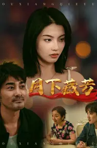 月下藏芳
