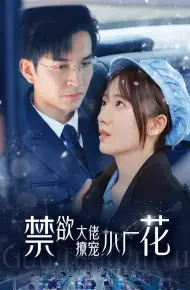 禁欲大佬撩宠小厂花（小可怜靠生子宠冠电子厂）