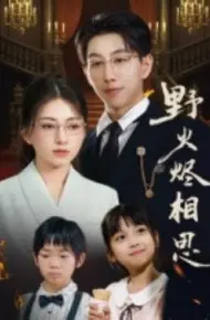 野火烬相思