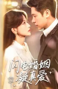 闪电婚姻凝真爱