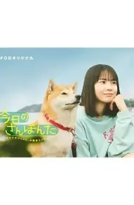 今日份的散步