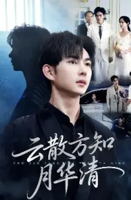 云散方知月华清