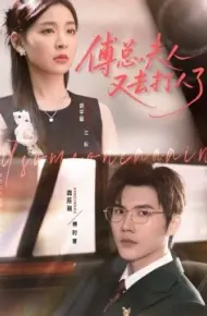 傅总，夫人又去打人了