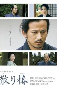 山茶花飘零