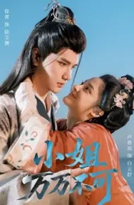 小姐万万不可