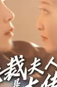 总裁夫人是大佬