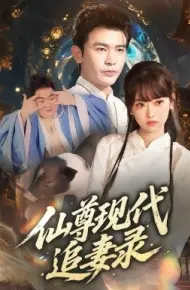 仙尊现代追妻录