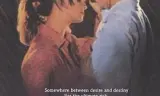 欲望绿洲