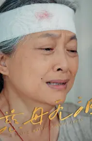 慈母无泪