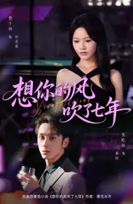 想你的风吹了七年