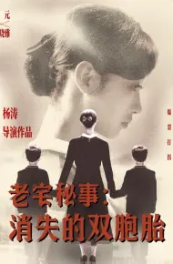 老宅秘事消失的双胞胎