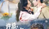 许总，前女友喊你别追了
